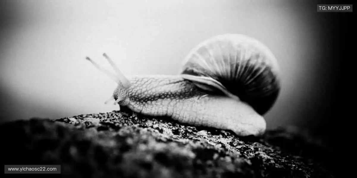 🚀从赛事到直播，再到周边，热爱永不缺席！✨